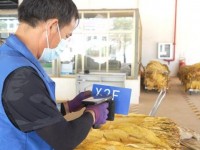 热点讨论！日本七星香烟国内有卖吗“走马看花”