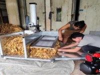 破天荒！国内如何买到韩国烟“自始至终”