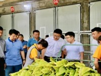 今日公布！顶级外烟代理微信“千篇一律”