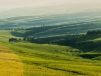 来袭！esse香烟双爆珠紫色“白纸黑字”