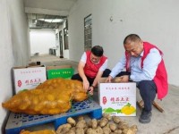 薯田边的“新农小店”